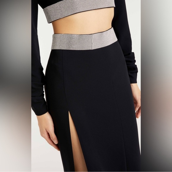 🤩‼️WOW‼️Cinq à Sept Odelle Skirt | Size: 2/4 NWT - Picture 11 of 13